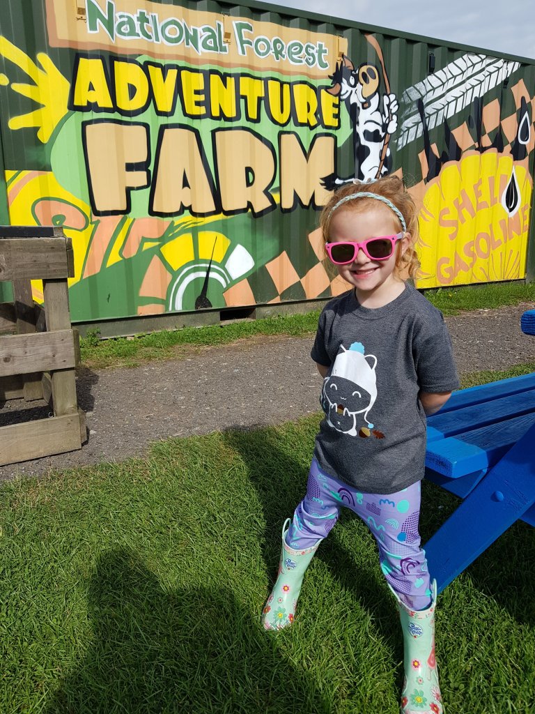 The National Forest Adventure Farm - a great day out for all the family