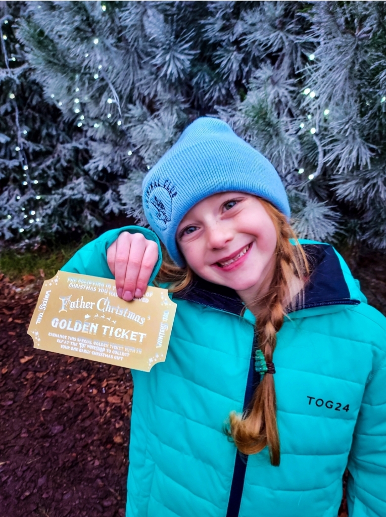 Father Christmas' Golden Ticket